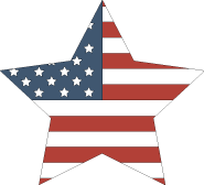 American Flag Star Icon