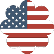 American Flag Flower Icon