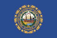 New Hampshire State Flag