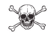 Skull and Crossbones Flag 1