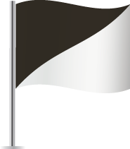 Black and White Unsportsmanlike Conduct Racing Flag