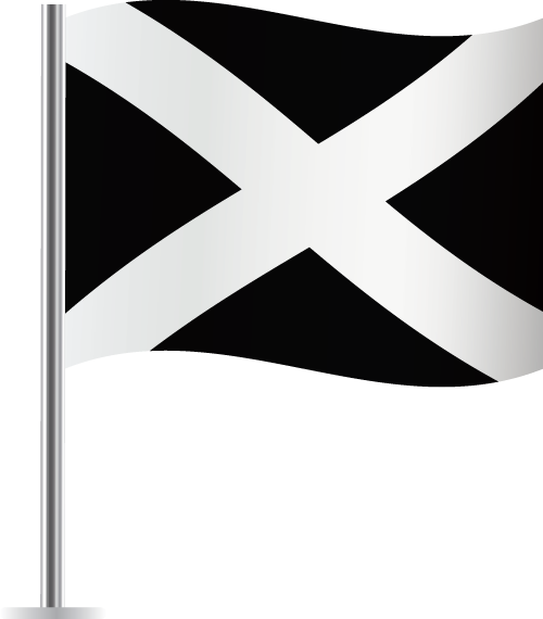 Black and White Disqualification Racing Flag