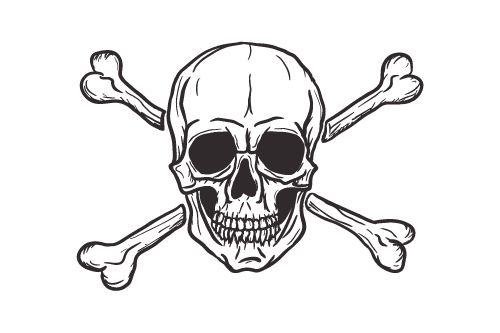 Skull and Crossbones Flag 1