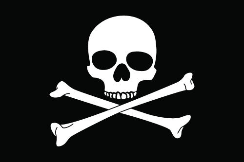 Skull and Crossbones Flag 2